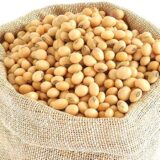 Soyabean JS-2034 30KG